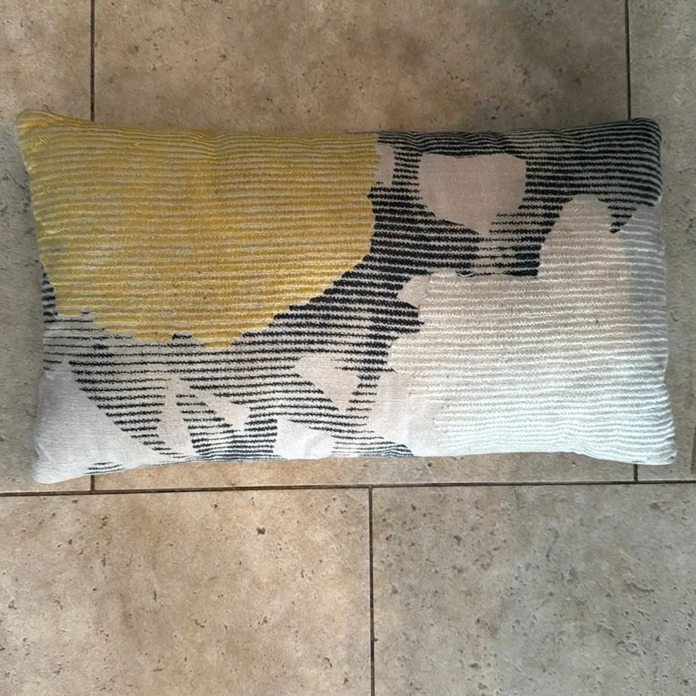 Yellow and Gray Decorative Pillows (2) Pillows - Square and Rectangle LIKE NEW